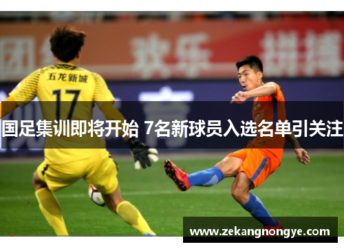 国足集训即将开始 7名新球员入选名单引关注