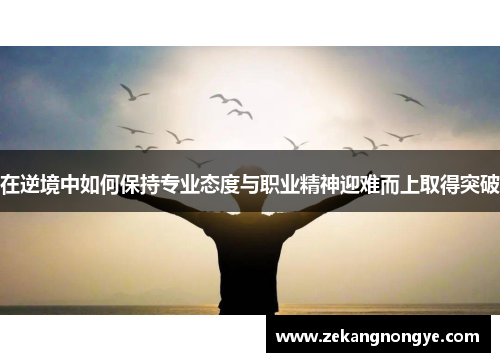 在逆境中如何保持专业态度与职业精神迎难而上取得突破