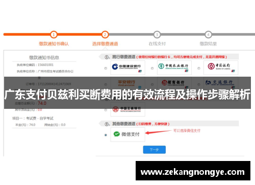 广东支付贝兹利买断费用的有效流程及操作步骤解析