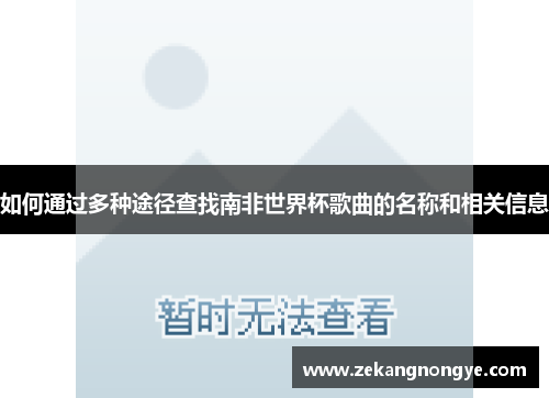 如何通过多种途径查找南非世界杯歌曲的名称和相关信息
