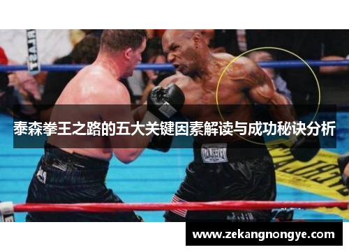 泰森拳王之路的五大关键因素解读与成功秘诀分析