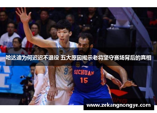 哈达迪为何迟迟不退役 五大原因揭示老将坚守赛场背后的真相