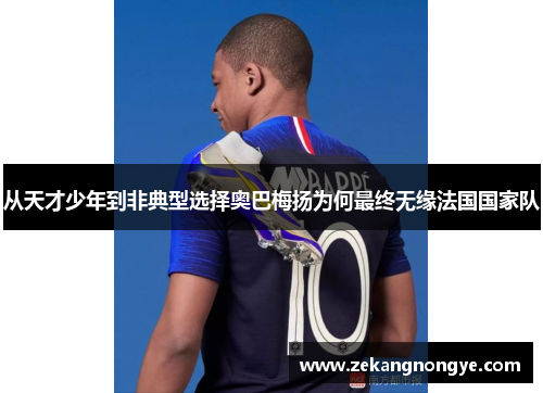 从天才少年到非典型选择奥巴梅扬为何最终无缘法国国家队 从天才少年到非典型选择奥巴梅扬为何最终无缘法国国家队