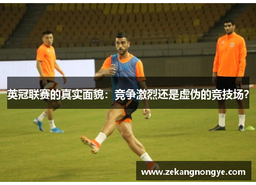 英冠联赛的真实面貌：竞争激烈还是虚伪的竞技场？