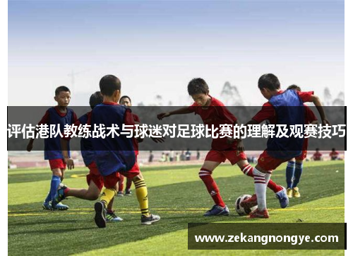 评估港队教练战术与球迷对足球比赛的理解及观赛技巧